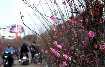 Dự báo thời tiết Hà Nội ngày mai 8/2/2024: Hà Nội chuyển mưa rét