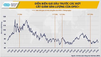 Vị thế của OPEC+ ngày càng mờ nhạt trên thị trường dầu?