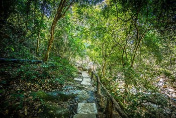 Khánh Hoà: Tìm thấy thanh niên lạc ở khu du lịch Ba Hồ sau 10 ngày