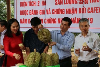 Xây dựng thương hiệu nông sản quốc gia cần bắt đầu từ đâu?