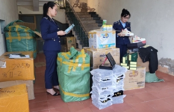 Quảng Bình: Xử lý 33 vụ vi phạm, thu nộp ngân sách gần 1,5 tỷ đồng