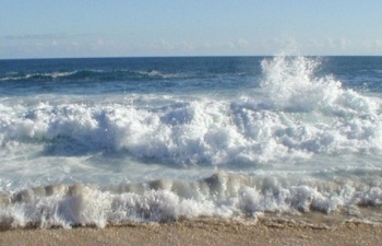 Dự báo thời tiết biển hôm nay 23/2/2024: Phía Đông Bắc của Bắc Biển Đông có gió mạnh và sóng lớn