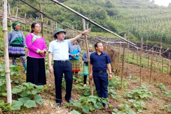 Lào Cai: Quan tâm hỗ trợ phát triển nhân lực người dân tộc thiểu số