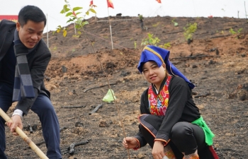 Phát triển huyện Ba Chẽ thành trung tâm kinh tế dược liệu tỉnh Quảng Ninh