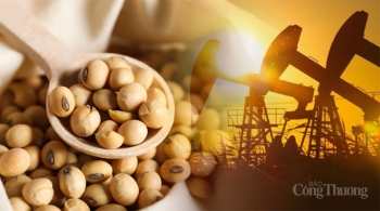 Thị trường hàng hóa hôm nay ngày 6/3: Chỉ số MXV-Index chấm dứt chuỗi tăng ba ngày liên tiếp