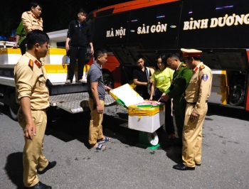 Hà Tĩnh: Phát hiện hơn 2 tấn chim cút ướp lạnh không rõ nguồn gốc