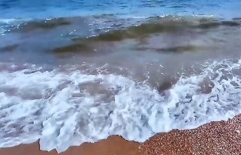 Dự báo thời tiết biển hôm nay 13/3/2024: Bắc Biển Đông có gió mạnh biển động