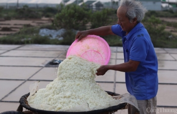 Nỗi lòng diêm dân xứ Thanh