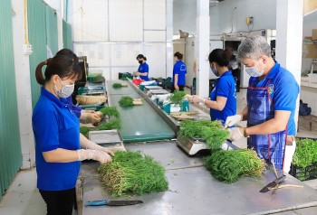 Phát triển bền vững chuỗi giá trị sản phẩm là xu thế tất yếu