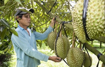 Tây Nguyên: Khai thác thế mạnh vùng, biến tiềm năng thành nguồn lực phát triển