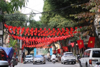 Rực rỡ cờ hoa chào mừng 49 năm Ngày Giải phóng miền Nam, thống nhất đất nước