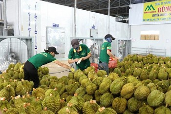 Giá nông sản hôm nay ngày 7/5: Xuất khẩu tiêu của Việt Nam khởi sắc; mướp hương 'cháy hàng' mùa nắng
