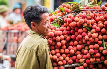 Đẩy mạnh xúc tiến thương mại cho vải thiều và các sản phẩm chủ lực tỉnh Bắc Giang