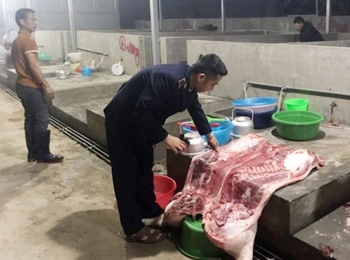 Lào Cai: Tăng cường quản lý hoạt động giết mổ động vật