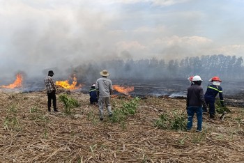 Khánh Hoà: Khoảng 30 ha rừng bị thiệt hại sau vụ cháy