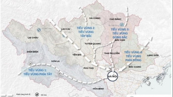 Phát triển vùng trung du miền núi phía Bắc: Nhiều cơ hội nhưng cũng lắm thách thức