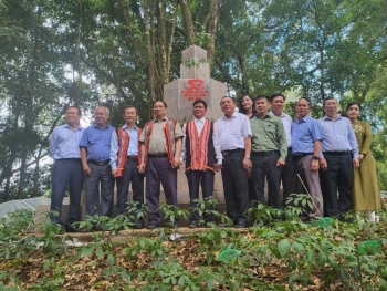 Kon Tum: Tiềm năng sản xuất, xuất khẩu các sản phẩm dược liệu từ Sâm