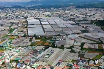 Lâm Đồng: Đà Lạt trong ''cơn bão'' biến đổi khí hậu