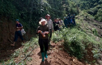 Hoà Bình: Huy động hơn 100 người tìm kiếm một phụ nữ mất tích trong rừng