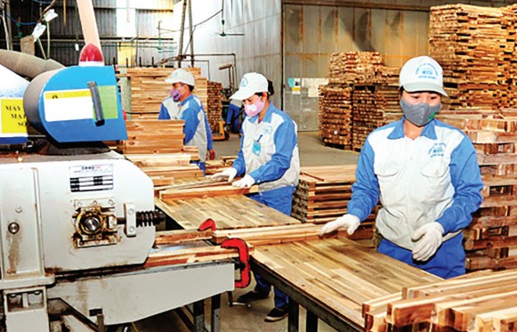 Tuyên Quang: Hướng đến mục tiêu phát triển kinh tế xanh và bền vững