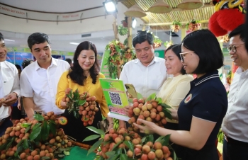 Hải Dương: Đa dạng hoạt động quảng bá, đẩy mạnh xúc tiến thương mại sản phẩm tiềm năng