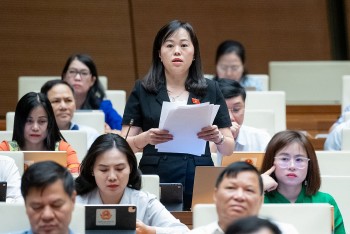 Có nên áp dụng mức thuế suất 5% đối với phân bón?