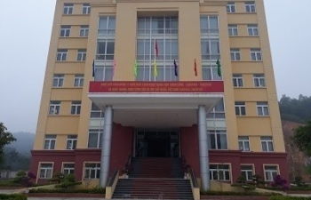 Yên Bái: Công ty Cổ phần Lâm nghiệp Hòa Phát bị cưỡng chế thuế hơn 11,9 tỷ đồng