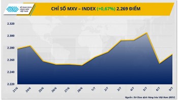 Thị trường hàng hóa hôm nay ngày 10/7/2024: Giá dầu nối dài đà giảm sang phiên thứ 3 liên tiếp