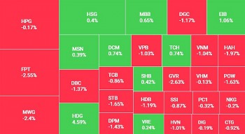 Áp lực bán tăng mạnh, VN-Index giảm gần 8 điểm