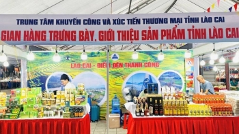 Thành lập Trung tâm Xúc tiến đầu tư, thương mại và hỗ trợ doanh nghiệp tỉnh Lào Cai