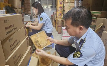 Kiện toàn nhân sự tại Ban Chỉ đạo 389 TP. Hà Nội