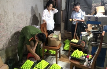 Yên Bái: Tạm giữ 33.500 quả bóng golf có dấu hiệu giả mạo nhãn hiệu