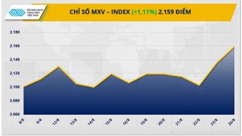 Thị trường hàng hóa hôm nay 27/8: Thị trường hàng hóa nguyên liệu thế giới lấy lại sắc xanh