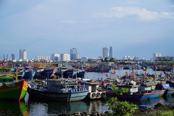 Đà Nẵng: 72 phương tiện đang còn hoạt động tại khu vực ảnh hưởng của bão YAGI