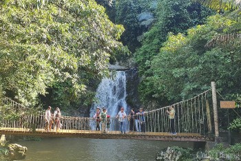 Quảng Nam 'thắng' nhiều giải thưởng về du lịch châu Á