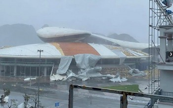 Cập nhật: Thiệt hại do bão Yagi ở Hà Nội, Quảng Ninh, Hải Phòng và các địa phương