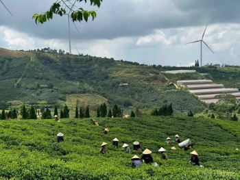 Lâm Đồng: Nhiều chỉ tiêu ngành Công Thương dự ước đều đạt theo kế hoạch được giao