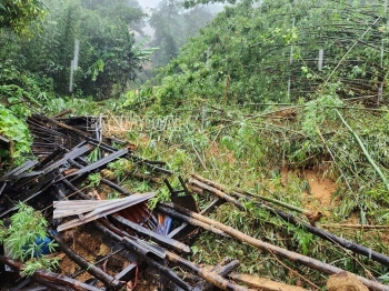 Lào Cai: Sạt lở đất vào 4 hộ dân tại huyện Bát Xát, 7 người mất tích