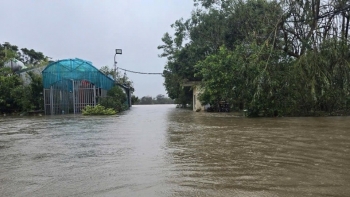 Sông Thái Bình báo động số 3, triển khai ngay di dời người và tài sản