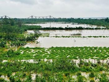 Hà Nội: Ra lệnh báo động lũ trên sông Hồng