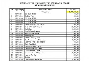 Link tải bảng sao kê ủng hộ đồng bào của TP. Hồ Chí Minh