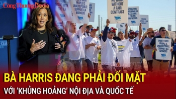 Bầu cử Mỹ 2024: Bà Harris đối mặt với 'khủng hoảng' nội địa và quốc tế