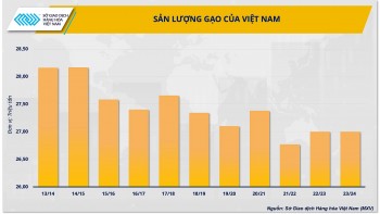 Giá gạo giảm đến cỡ nào khi Ấn Độ thúc đẩy xuất khẩu trở lại?