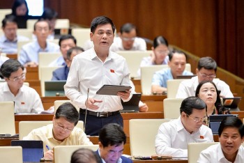 Đại biểu Quốc hội đề nghị xem xét chính sách phát triển công nghiệp dược