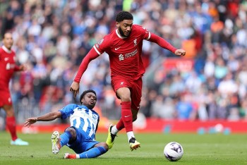 Nhận định bóng đá, dự đoán tỷ số Brighton và Liverpool, 02h30 ngày 31/10, Carabao Cup
