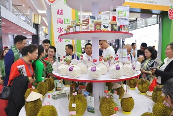 Bản đồ xúc tiến thương mại: Tối ưu hóa quảng bá thương hiệu nông sản Việt tiếp cận EU