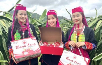 Bài 2: Thúc đẩy bình đẳng giới thông qua hỗ trợ các hợp tác xã do phụ nữ điều hành