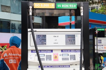 Giá xăng dầu hôm nay 14/12/2024: Bật tăng