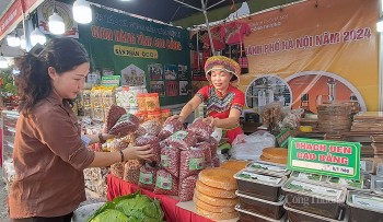 Ngành công thương Hà Nội: chung tay kết nối, lan tỏa hàng Việt