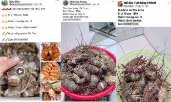 TP. Hồ Chí Minh: Tôm hùm baby giá rẻ tràn ngập chợ mạng